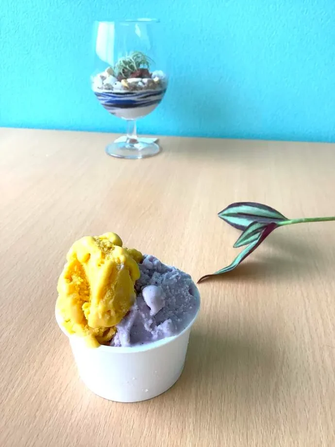 「よりみちジェラート小葉」のジェラート