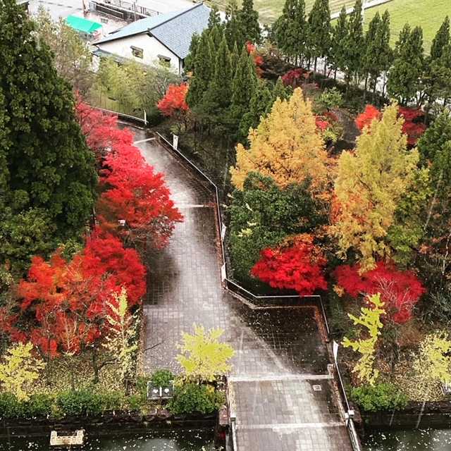 勝山城博物館の展望