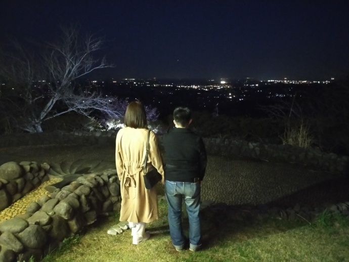 笠間市あたご天狗の森公園　夜景写真