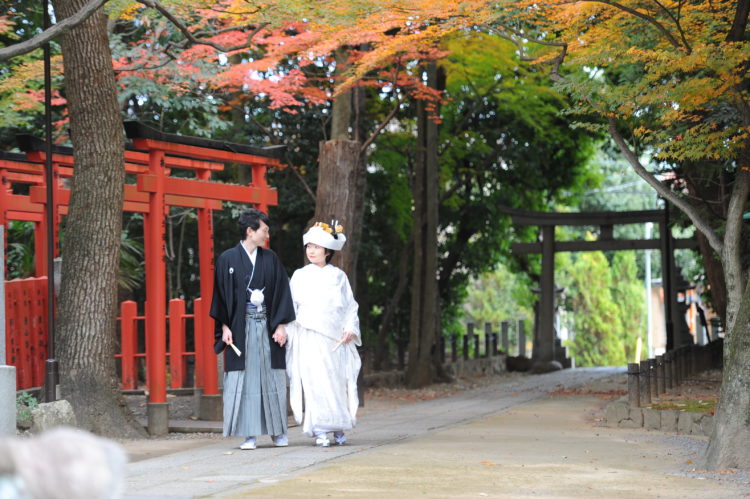 阿比太神社では毎月、何組くらい挙式が行われますか?