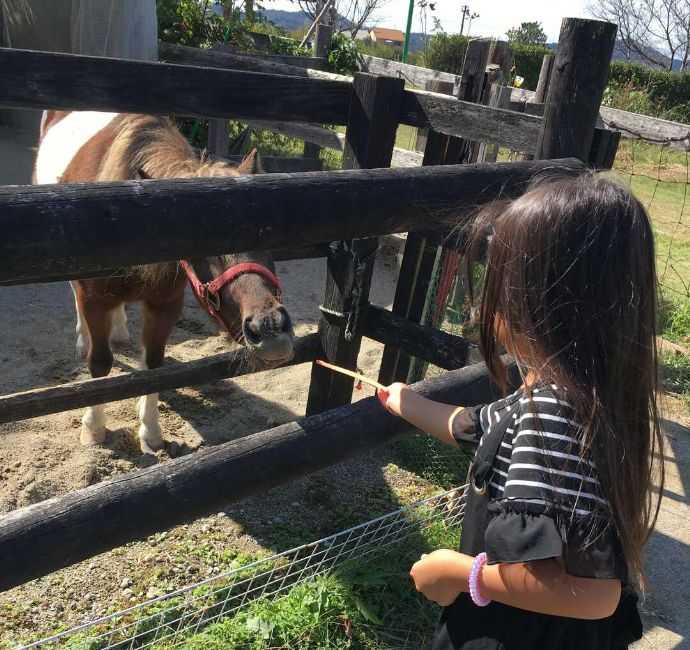 道の駅 アグリパーク竜王でポニーにエサをあげる少女