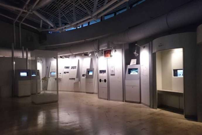 「阿寒国際ツルセンター」の常設展（その1）
