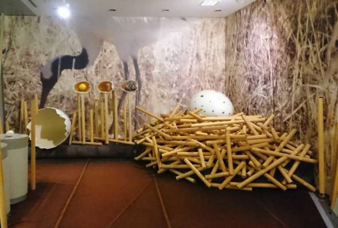 「阿寒国際ツルセンター」の常設展（その2）