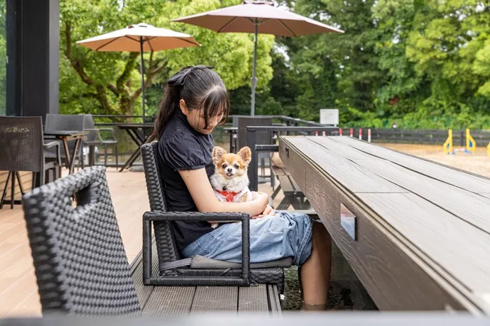 「愛犬の駅 伊豆高原」の足湯コーナー（飼い主専用）