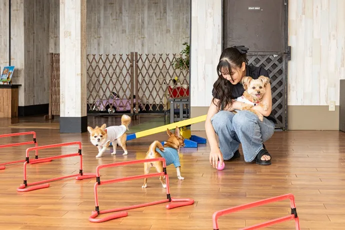 「愛犬の駅 伊豆高原」の屋内ドッグラン