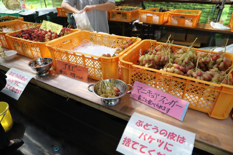 収穫できる果物はそれぞれどんな品種のものですか？
