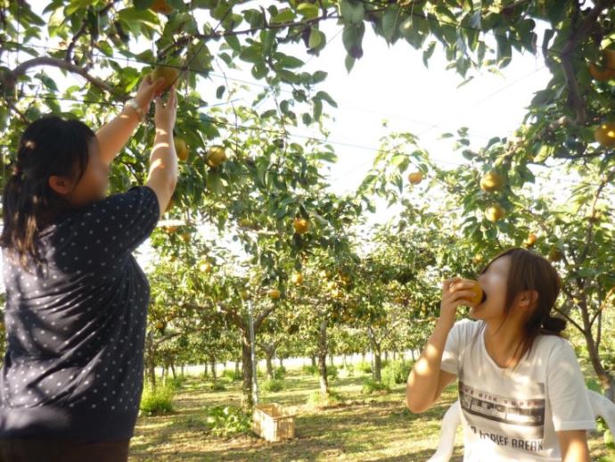 フルーツランド北会津の来園者はどのような方が多いですか？
