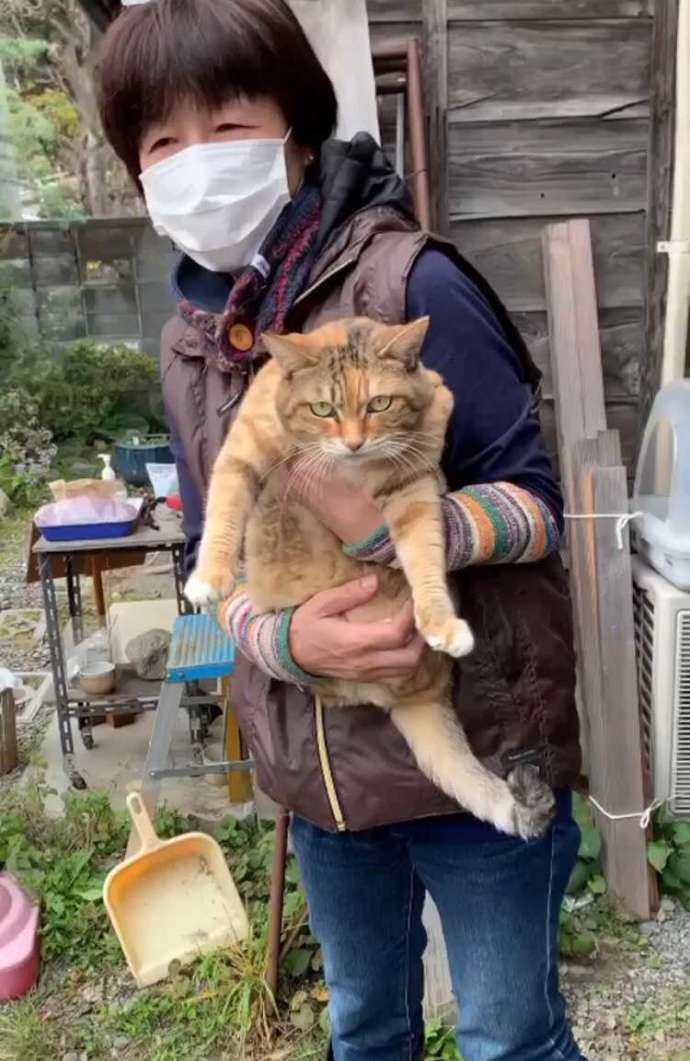 gotica陶芸工房のスタッフ・青柳さん
