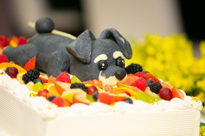 アンジェパティオのパティシエが作った犬をモチーフにしたウエディングケーキ