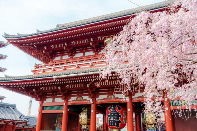 東京で人気のデートスポット_浅草神社