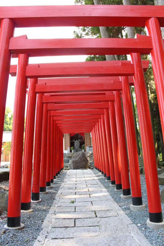 「阿蘇白水龍神權現（白蛇神社）」の境内にある奉納された鳥居
