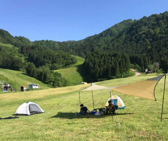 夏のあわすのスキー場でキャンプを楽しむ人々