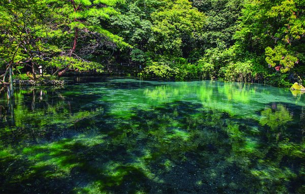 出流原弁天池の水面