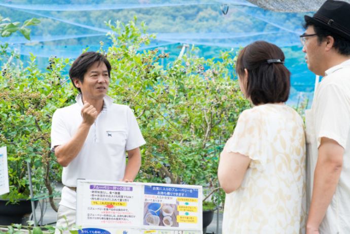 ブルーベリーファームおかざきの「ブルーベリー狩り」について