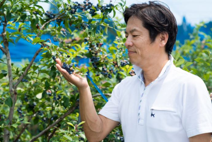 収穫できるブルーベリーは栽培方法にこだわりはありますか？