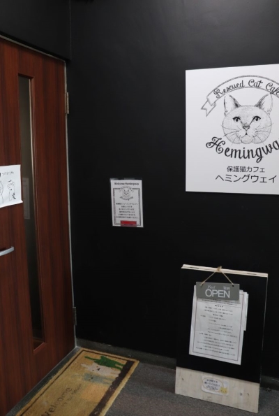 「保護猫カフェ ヘミングウェイ」のエントランス付近(外側)