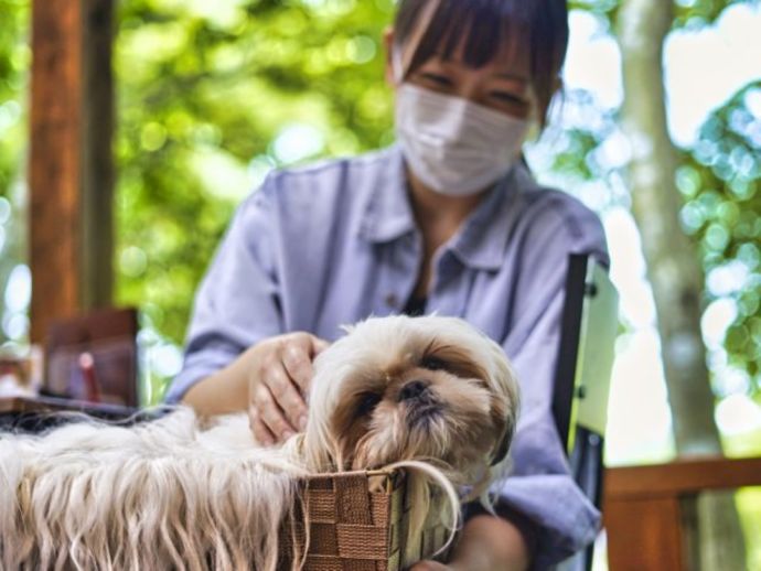 「Cafe Maera（犬カフェ まいら）」のセラピードッグとお客さま