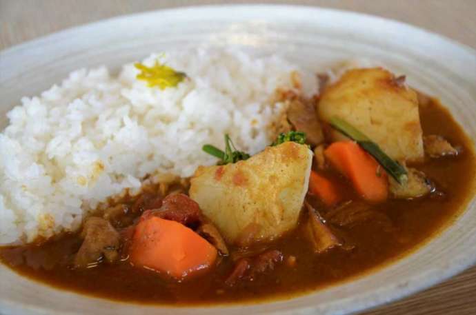 長野県飯山市にある道の駅「花の駅・千曲川」でいただける里わカレー