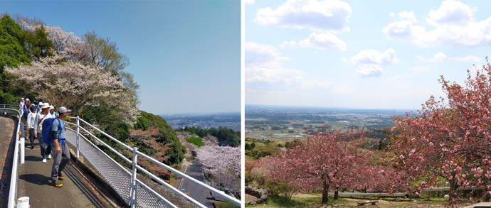 笠間市あたご天狗の森公園俯瞰写真