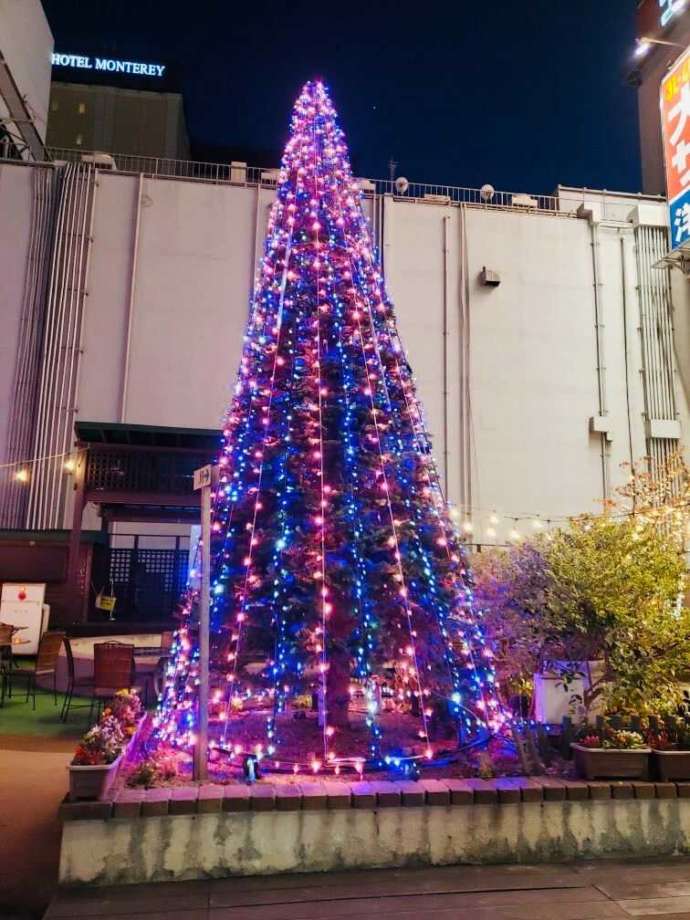 杜のガーデンテラスにあるツリーのイルミネーション