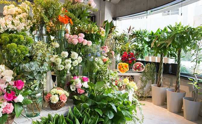 原宿にあるローランズ原宿店の店内