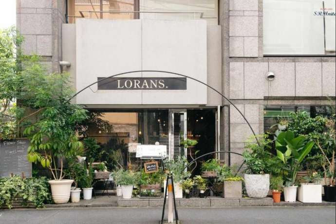 原宿にあるローランズ原宿店の外観