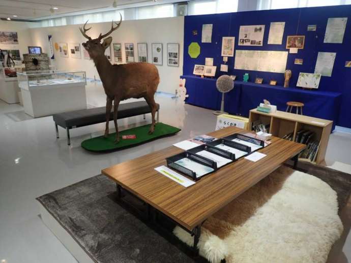 「富良野市博物館」で開催中の特別展「森の心、そして祈り」のどろ亀さんパート