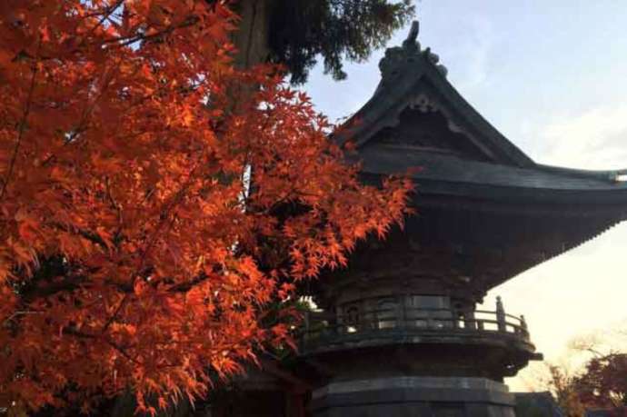 「紅龍山 布施弁天 東海寺」境内の鐘楼と紅葉(11月)