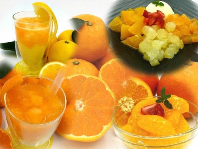 静岡県賀茂郡にある「ふたつぼり」でいただけるスイーツたち