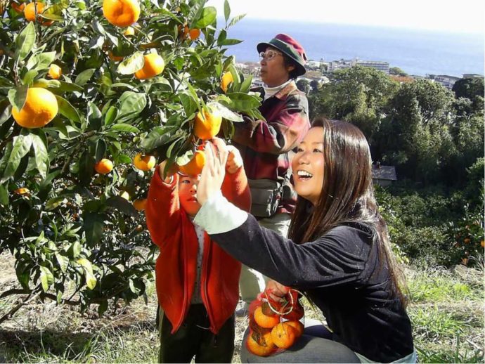 静岡県賀茂郡にある「ふたつぼり」で収穫体験をする人々
