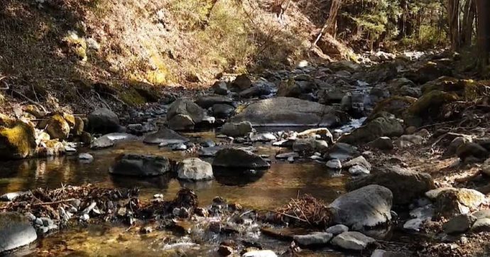 山梨県都留市にある「和みの里」の近くにある戸沢川の様子