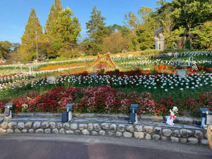 大阪府河内長野市の「大阪府立花の文化園」にある装飾花壇