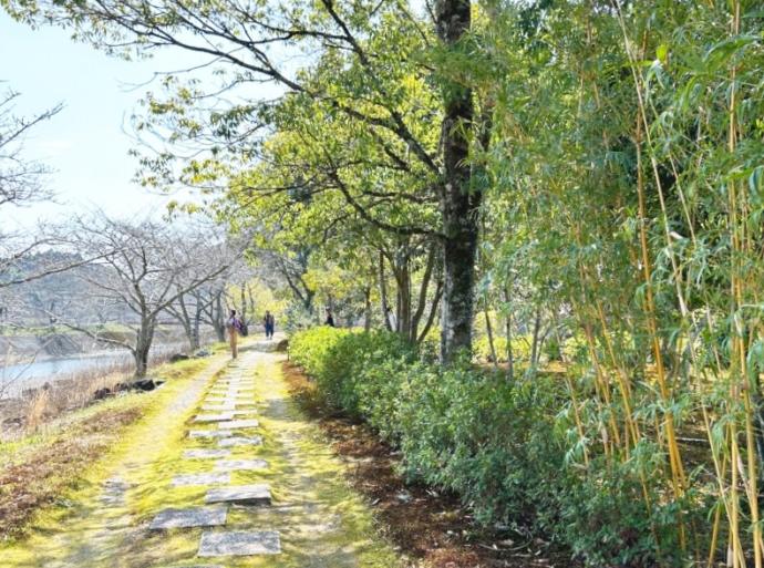 「道の駅 玉露の里」の敷地内を流れる朝比奈川沿いのお散歩コース(冬)
