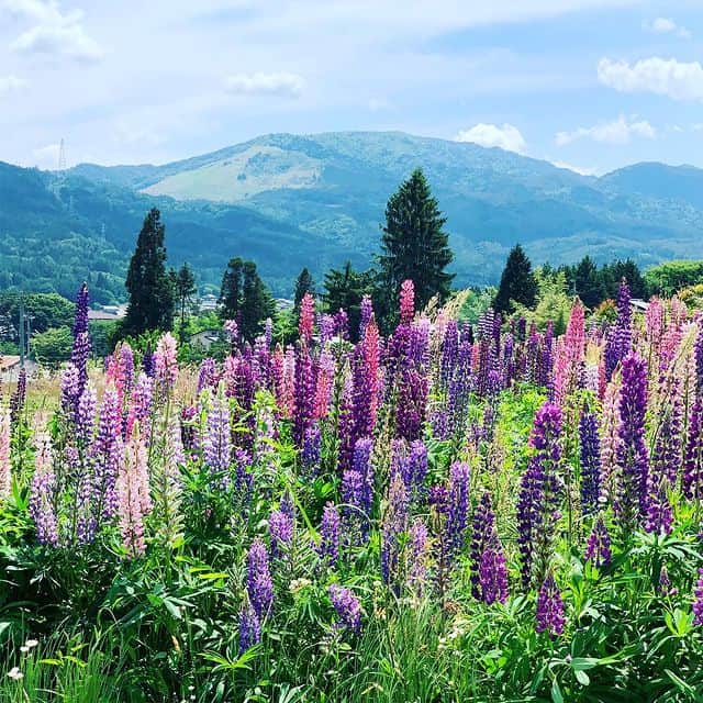 飛騨高山の自然
