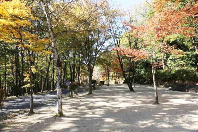 羽鳥湖畔オートキャンプ場の紅葉風景