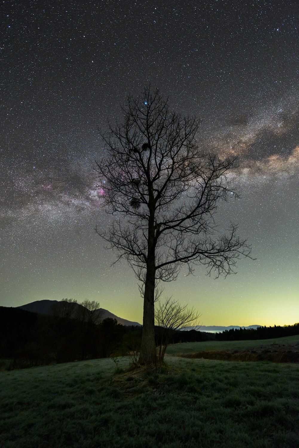 八東ふる里の森で参加できる星空テラスのイメージ