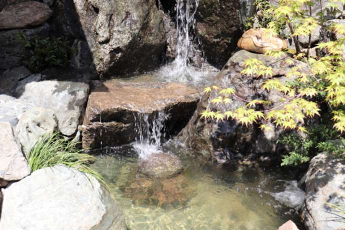 「蛇窪神社」境内の白龍の滝壺にある龍神の玉（宝珠）