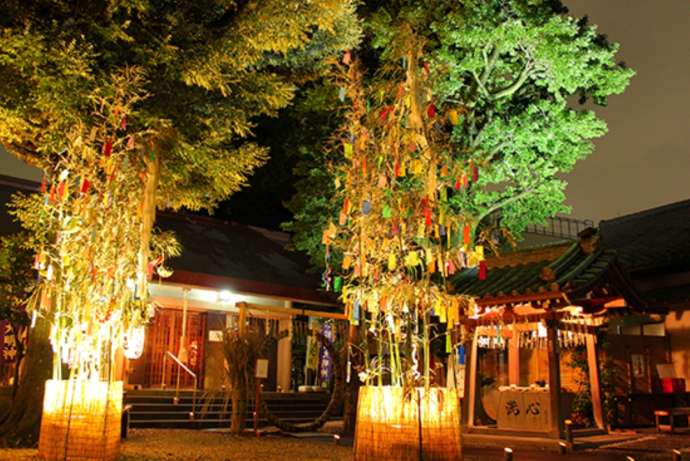 ライトアップされた「蛇窪神社」境内の七夕飾り