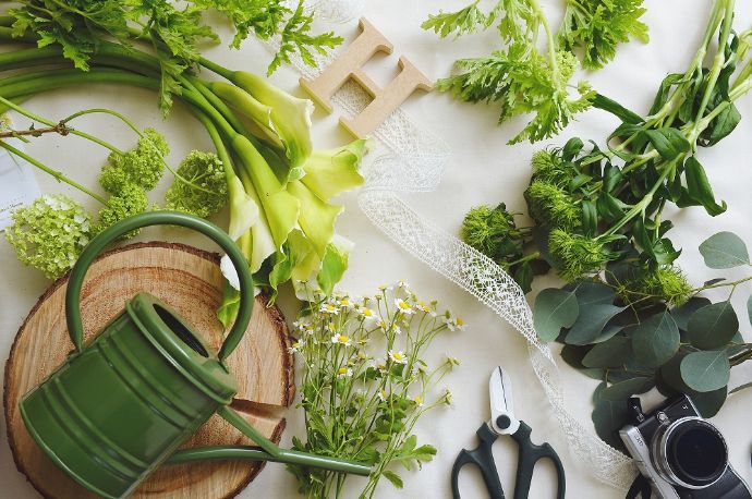 ヘクセンハウスの体験で使用する新鮮なお花