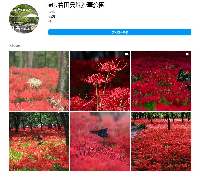 インスタグラムに投稿されている巾着田曼珠沙華公園の写真