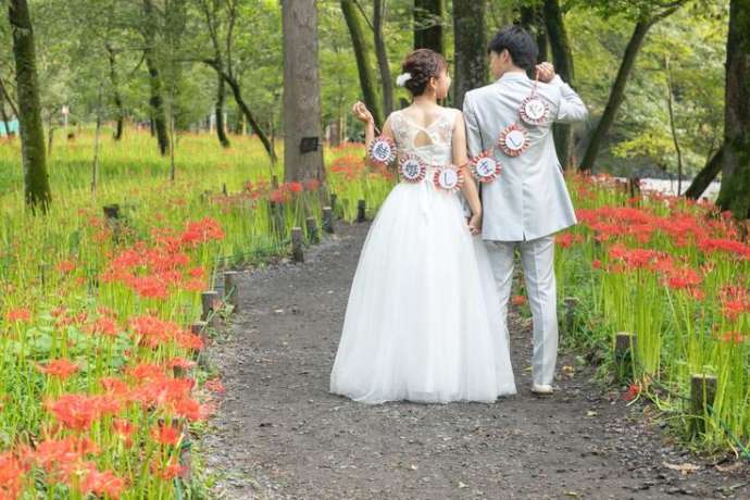 巾着田曼珠沙華公園内で結婚式の前撮り写真を撮影するカップルその1