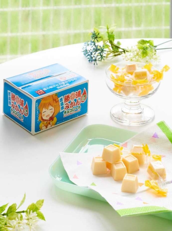 勝浦みかんチョコレート