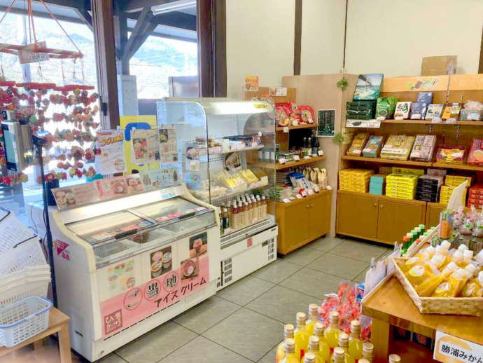 ひなの里かつうらにある物産館の店内風景