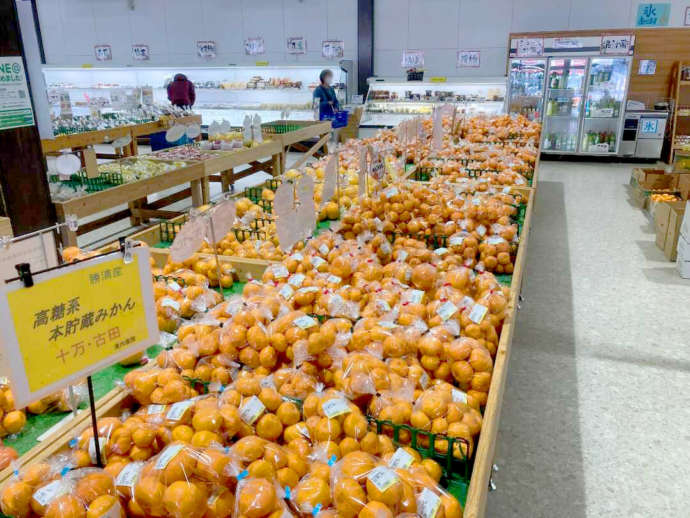 「よってネ市」の店内に設置されたみかんの販売コーナー