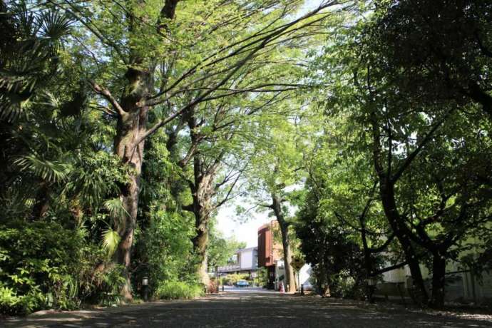 本立寺の参道