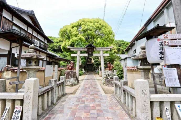 「天津(あまつ)神社」の参道と鳥居