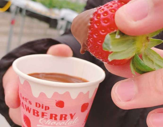 ICHIGO WORLDのイチゴ狩りで楽しめるチョコディップ