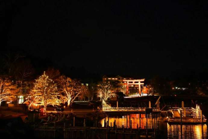 「ライトアップ奥日光」プロジェクトの一環「中禅寺湖畔イルミネーション」の一コマ(その2)
