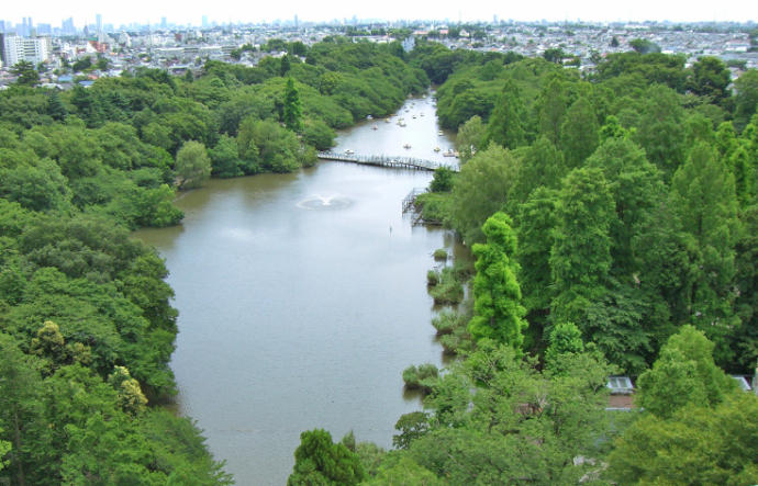 井の頭公園