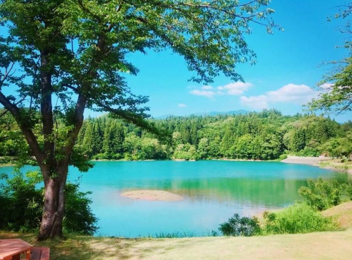 道の駅「いりひろせ」にある鏡ヶ池の夏風景